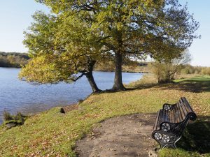 Longmore Pool, Sutton Park, Sutton Coldfield